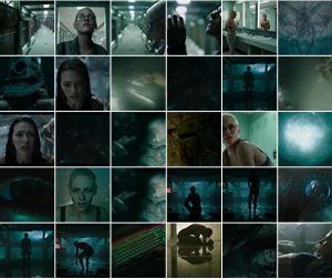 still shots collage - Underwater