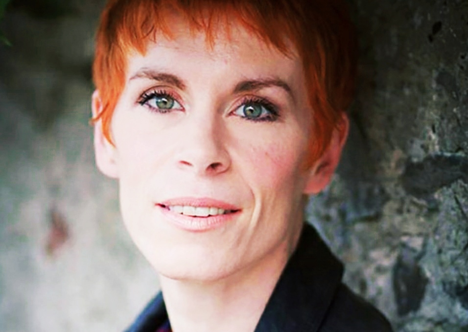 The Searcher Author Tana French image
