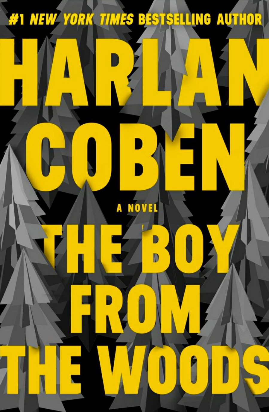 the boy from the woods