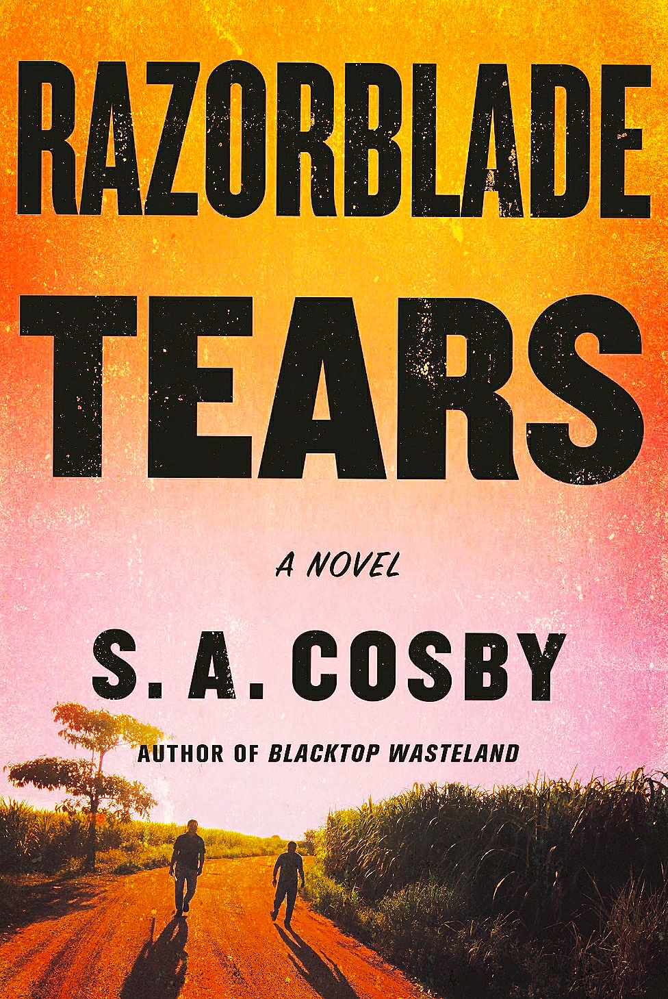 razorblade tears book cover