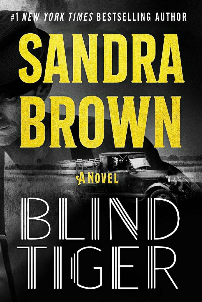 blind tiger book cover