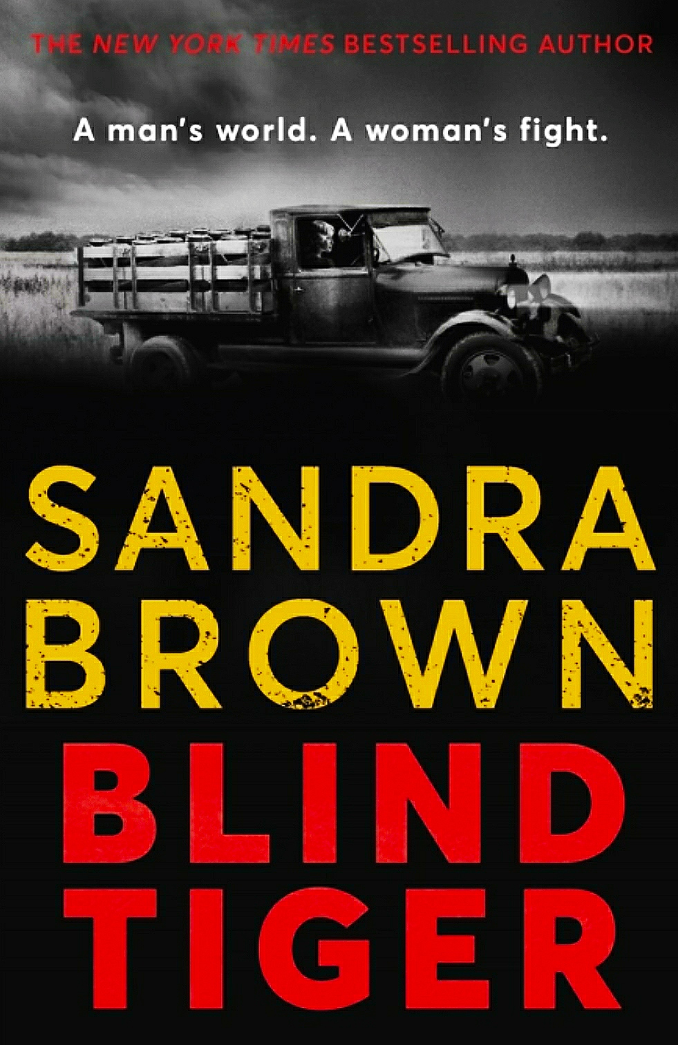 Books – Review of Blind Tiger by Sandra Brown – 2021 – Intense Read