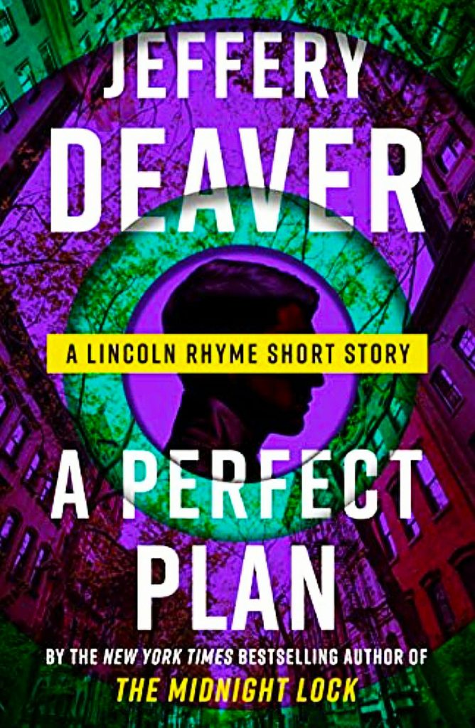 a perfect plan book cover