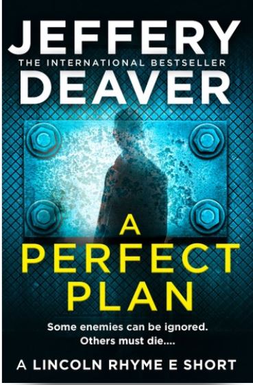 a perfect plan alternate book cover