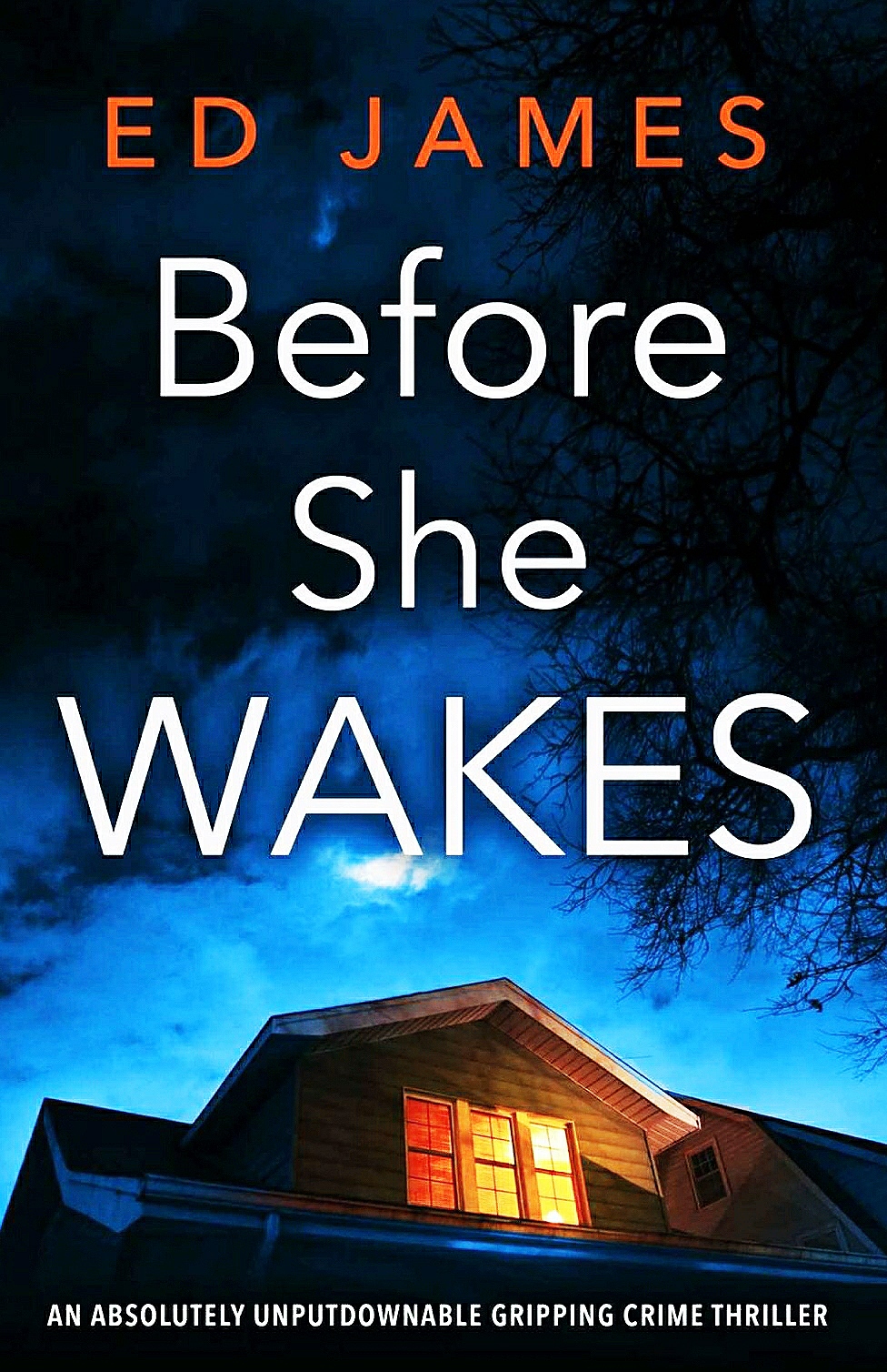 Books – Review of Before She Wakes by Ed James – 2021 – Brilliant Thriller