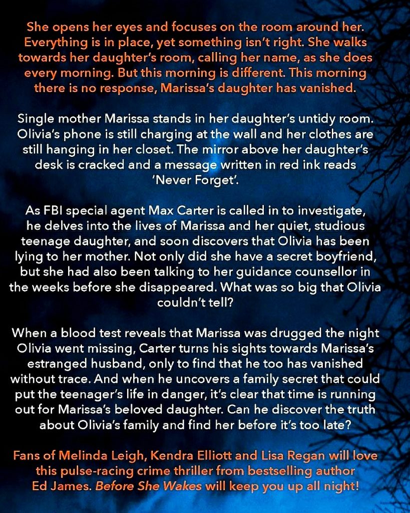before she wakes book back cover