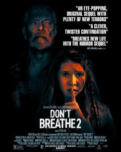 Hollywood Movie Review - Don't Breathe 2 - 2021 - Tense Thriller 12 end game don't breathe 2 poster