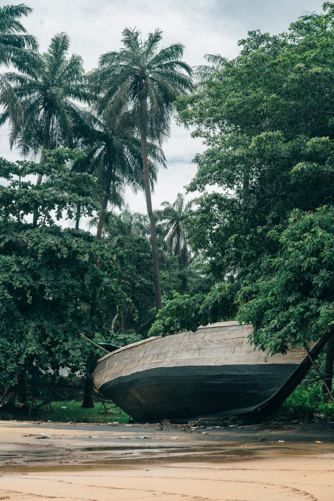 Top 10 Destinations - Breathtaking Ones to Visit in 2026 6 top 10 destinations Top 10 Destinations - Tiwai Island Sierra Leone rainforest wildlife and eco-tourism