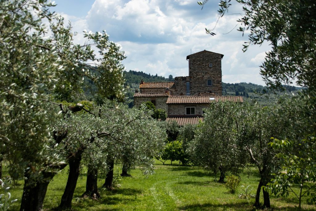 Top 10 Destinations - Breathtaking Ones to Visit in 2026 11 top 10 destinations Top 10 Destinations - Umbria Italy medieval village with olive groves and rustic countryside
